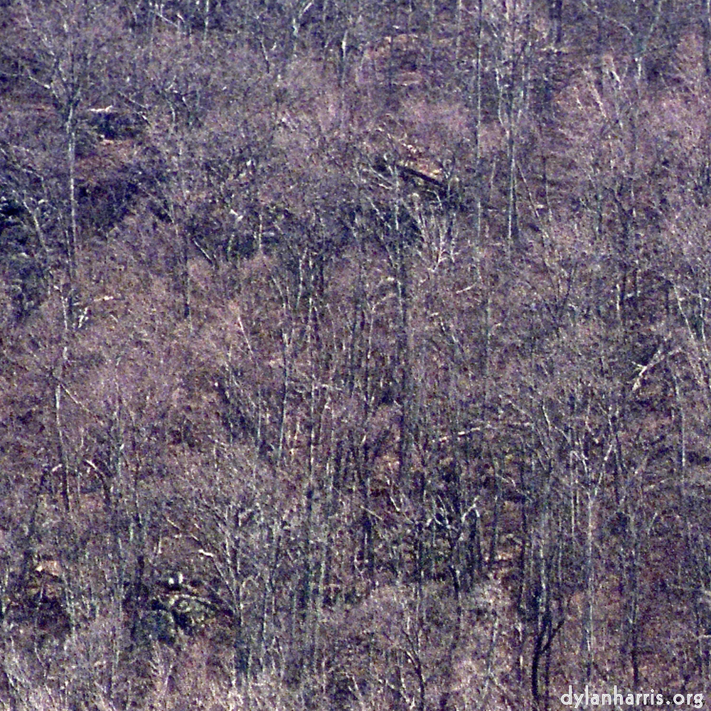 image: This is &lsquo;wood (ix) 5&rsquo;.