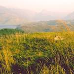 image: Image from the photoset &lsquo;highlands (viii)&rsquo;.