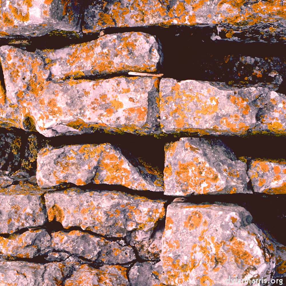 image: This is &lsquo;untitled (xi) 1&rsquo;.