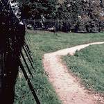 image: Image from the photoset &lsquo;yorkshire (iv)&rsquo;.