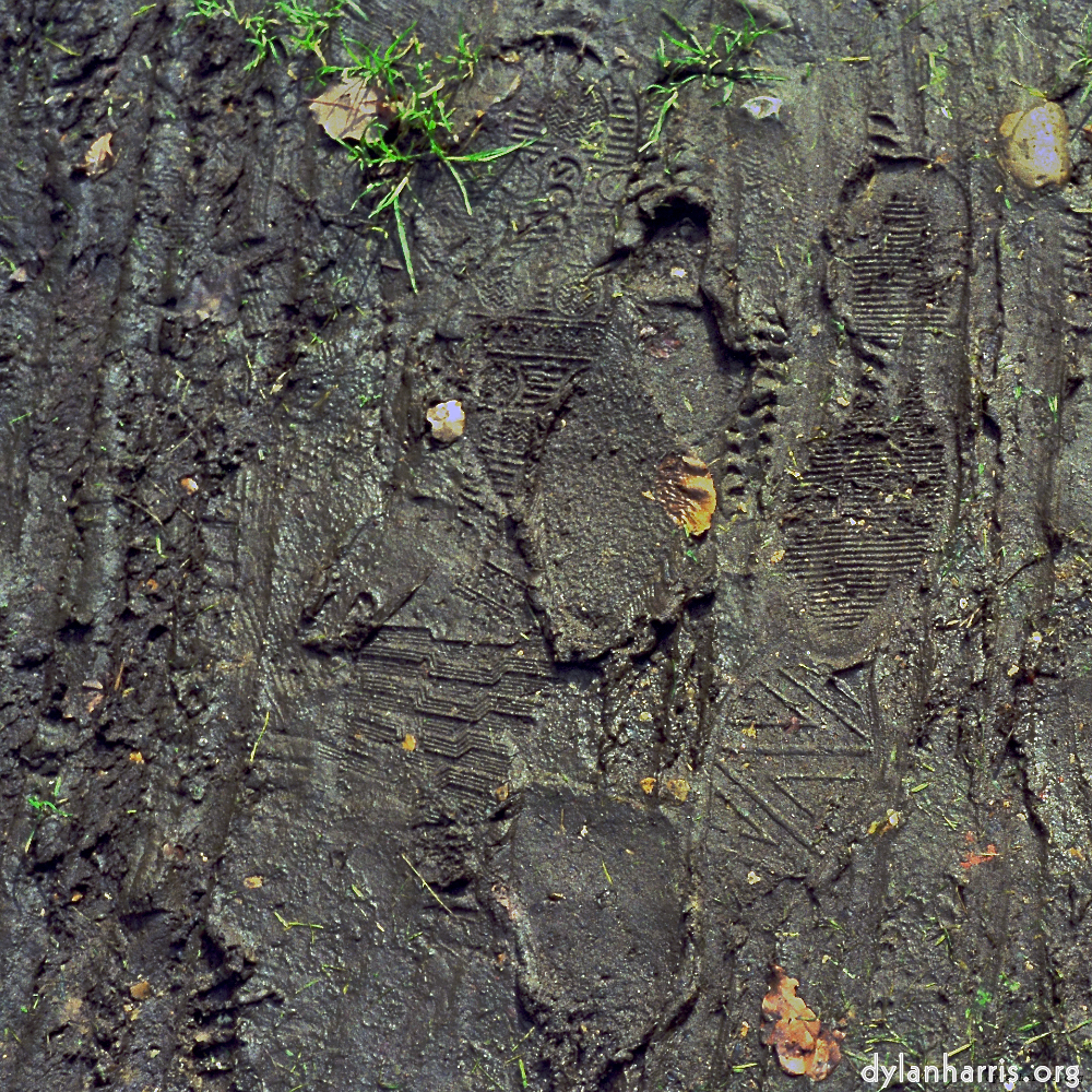 image: This is &lsquo;wood (x) 2&rsquo;.