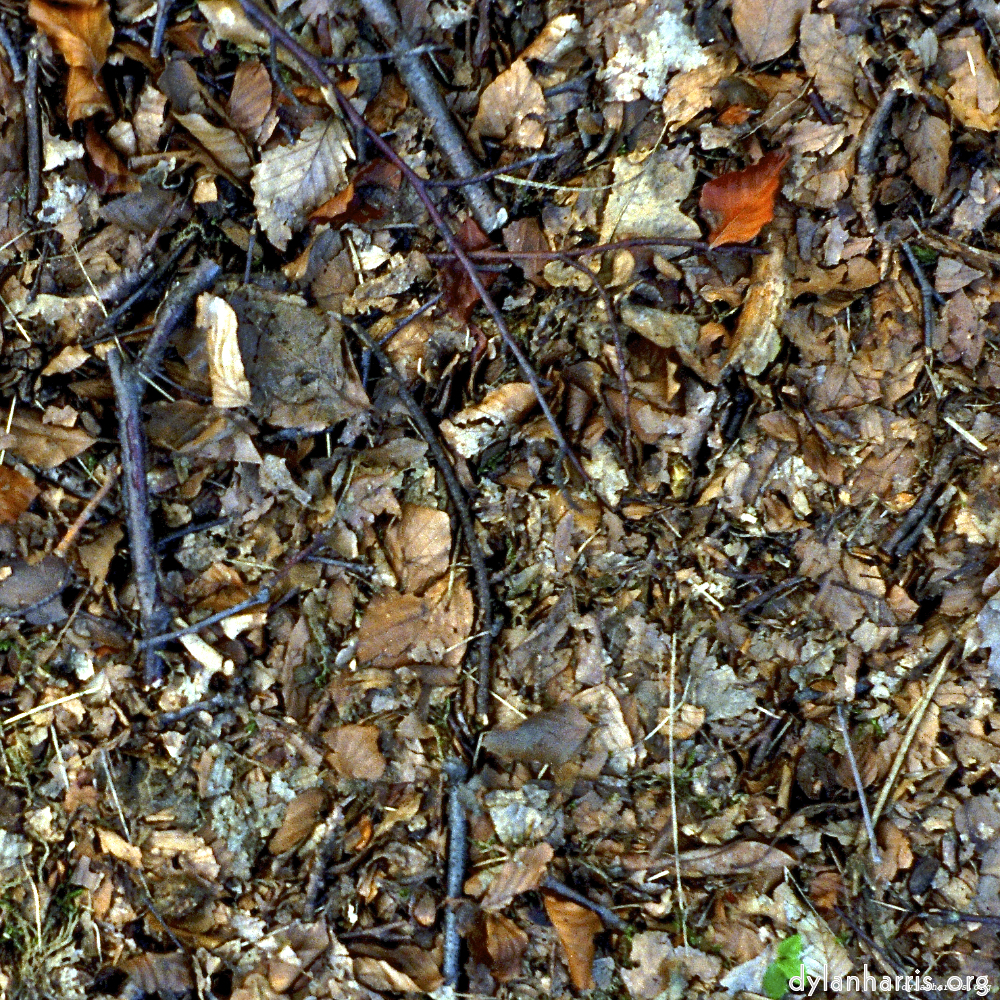 image: This is &lsquo;untitled (xvii) 1&rsquo;.
