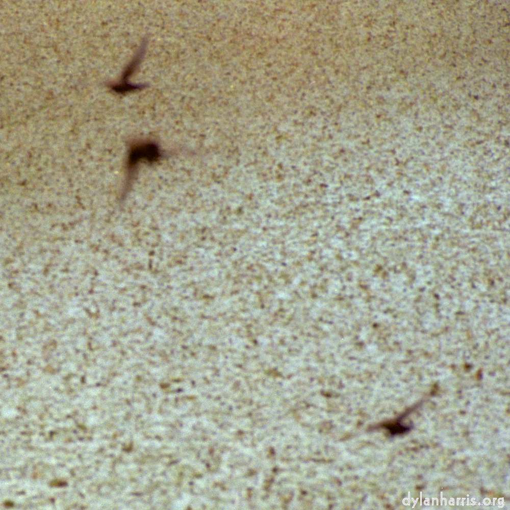 image: This is &lsquo;untitled (xvii) 2&rsquo;.