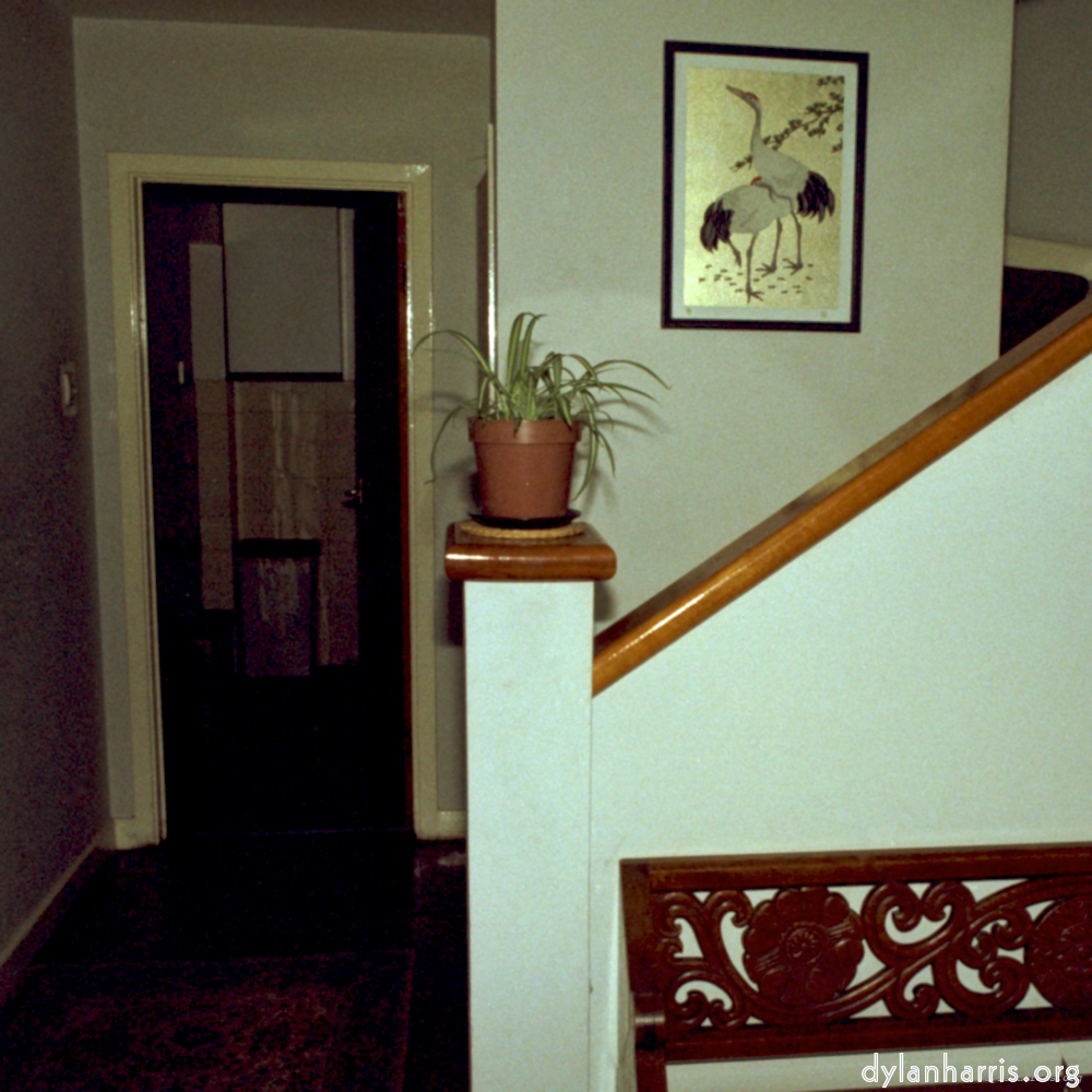 image: This is &lsquo;home (iii) 6&rsquo;.