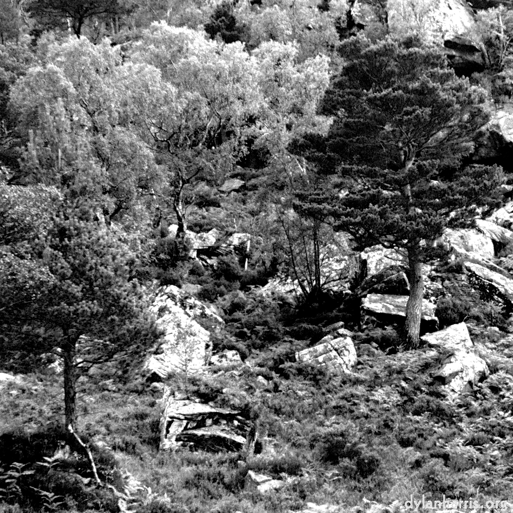 image: This is &lsquo;highlands (ii) 3&rsquo;.