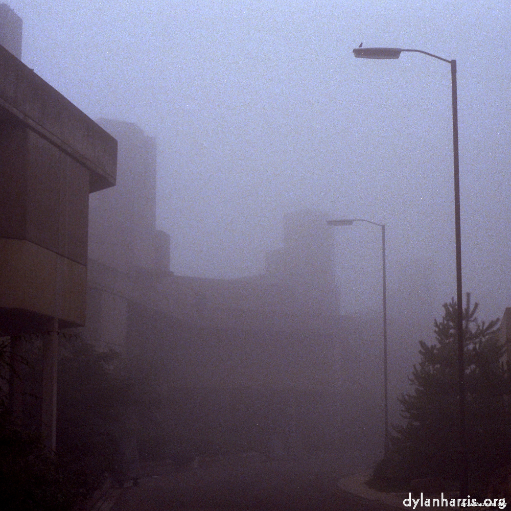 image: This is &lsquo;norwich (ii) 10&rsquo;.
