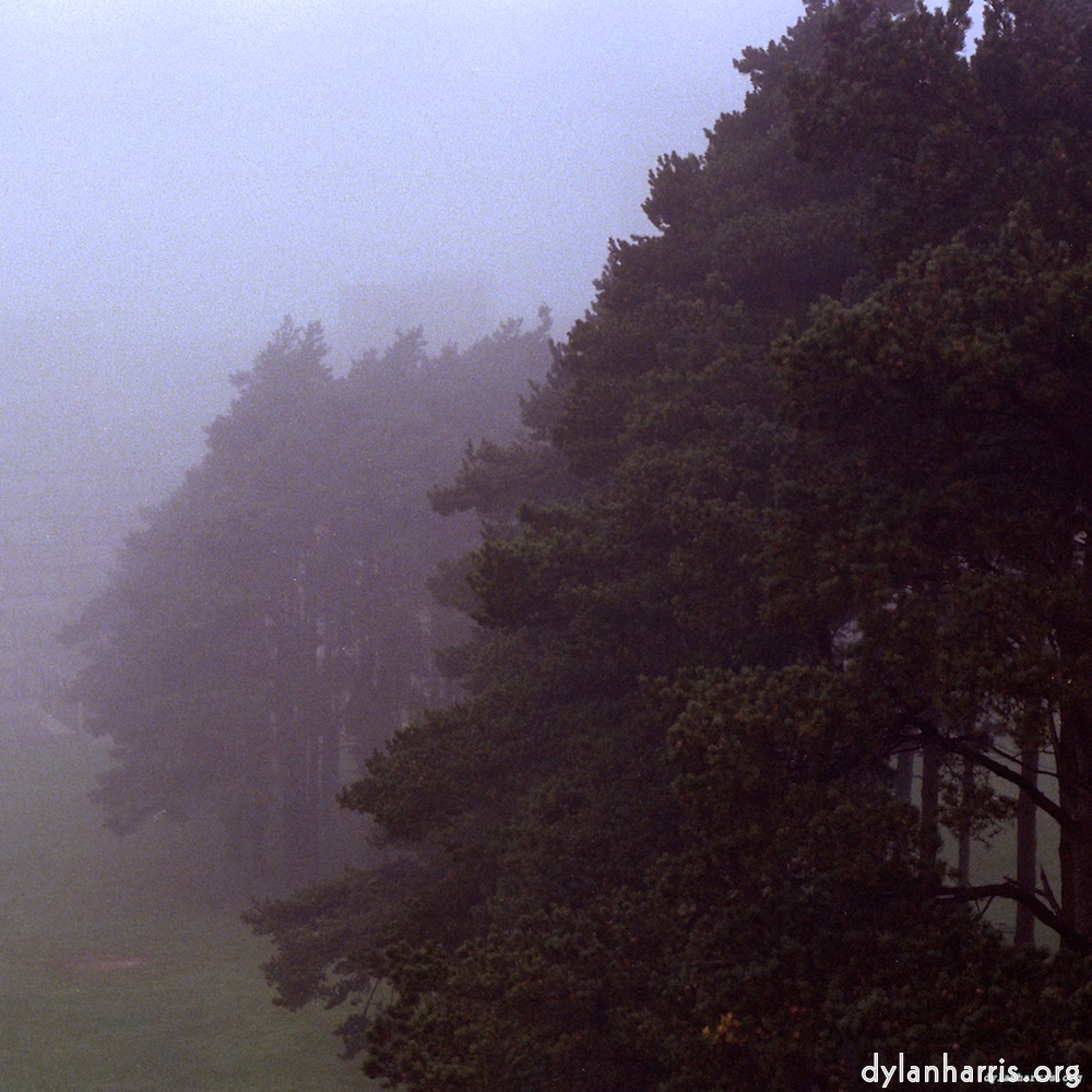 image: This is &lsquo;norwich (ii) 8&rsquo;.