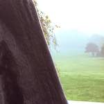 image: Image from the photoset &lsquo;norwich (ii)&rsquo;.