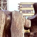 image: Image from the photoset &lsquo;norwich (ii)&rsquo;.