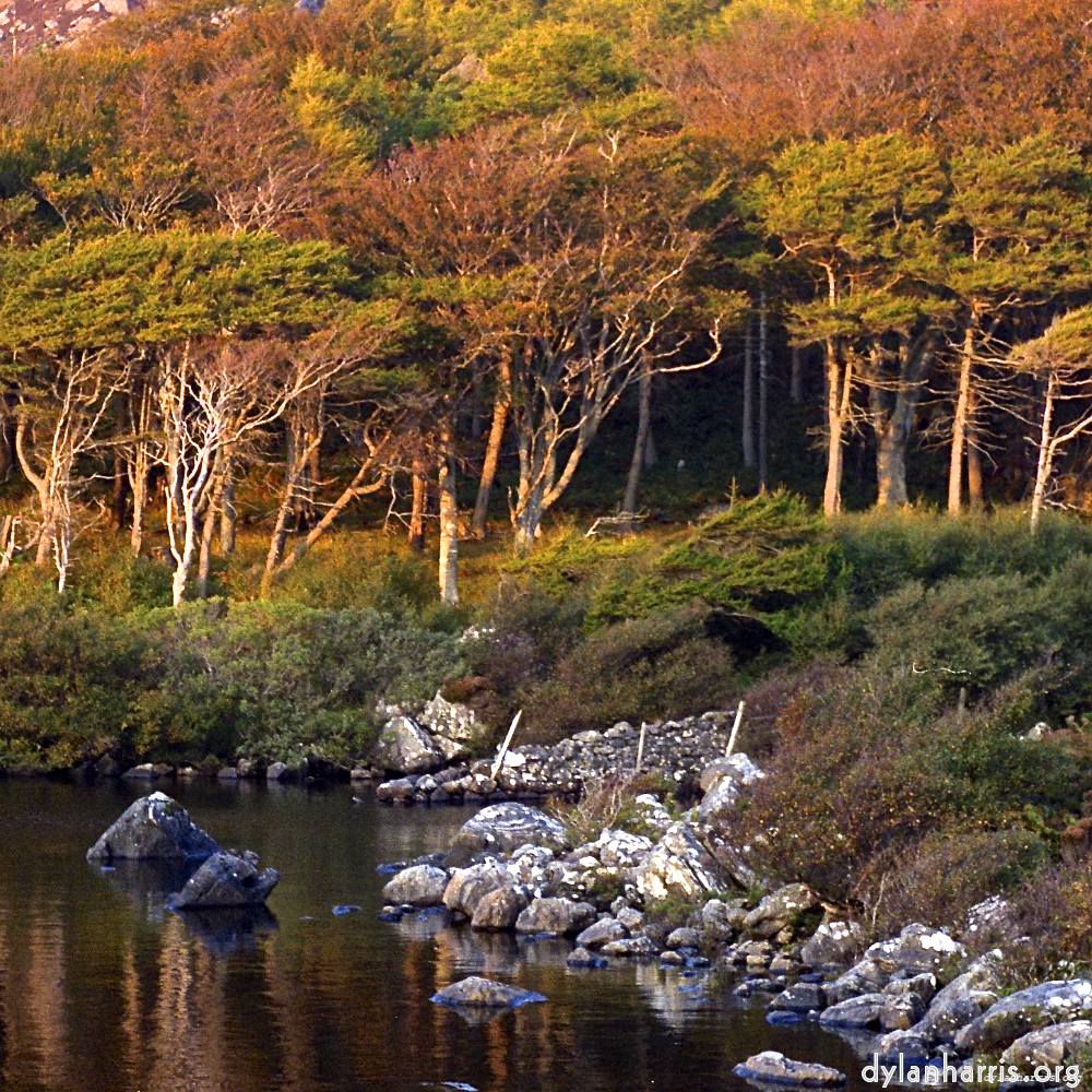 image: This is &lsquo;highlands (ix) 4&rsquo;.