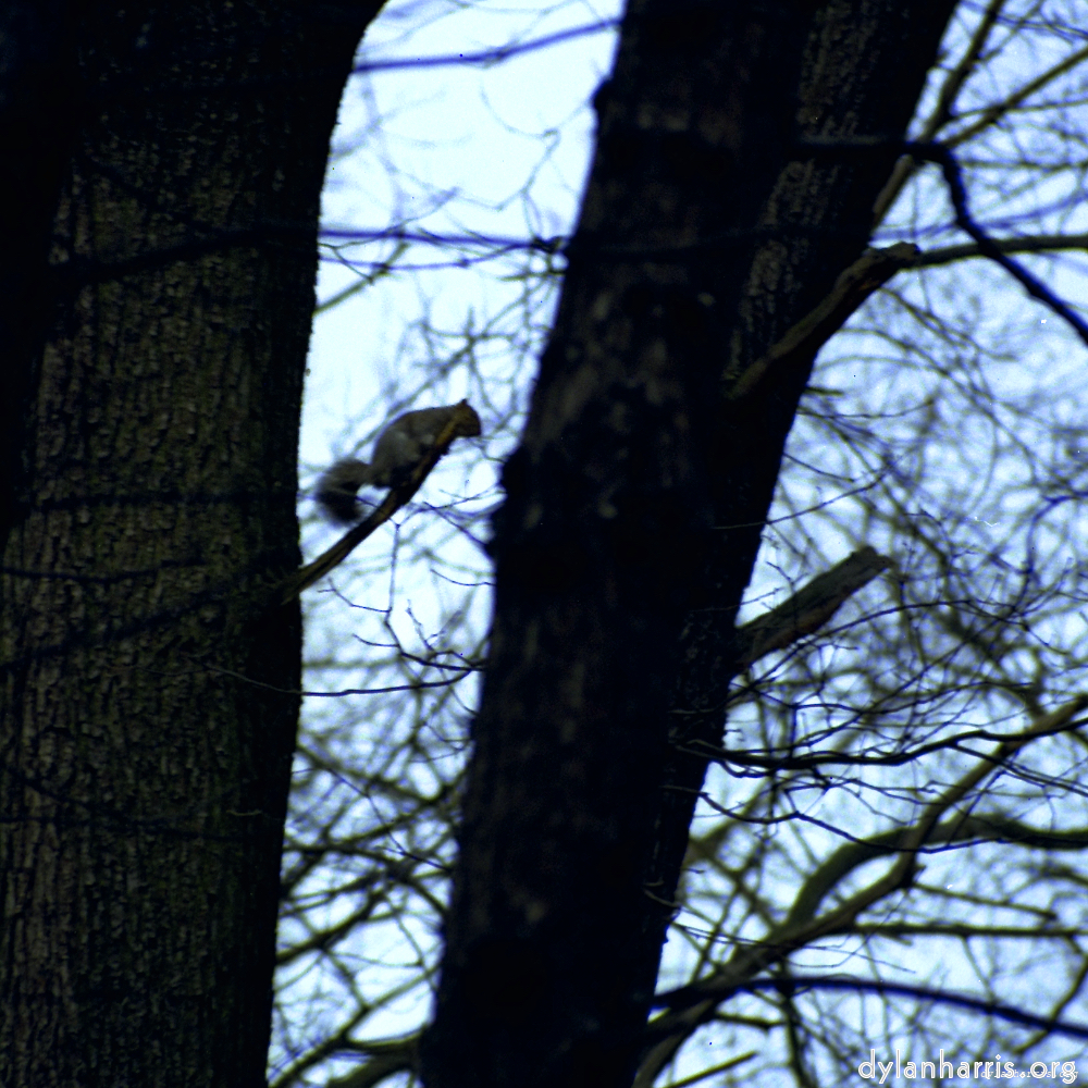 image: This is &lsquo;wood (xi) 2&rsquo;.