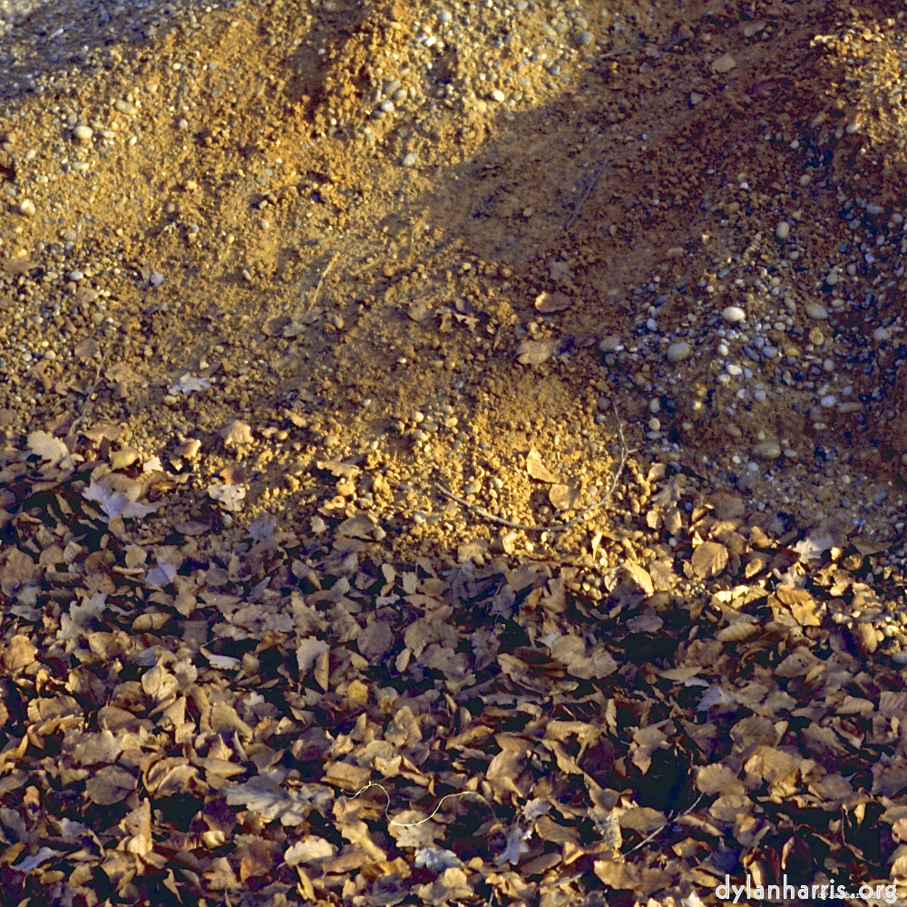 image: This is &lsquo;wood (xii) 3&rsquo;.