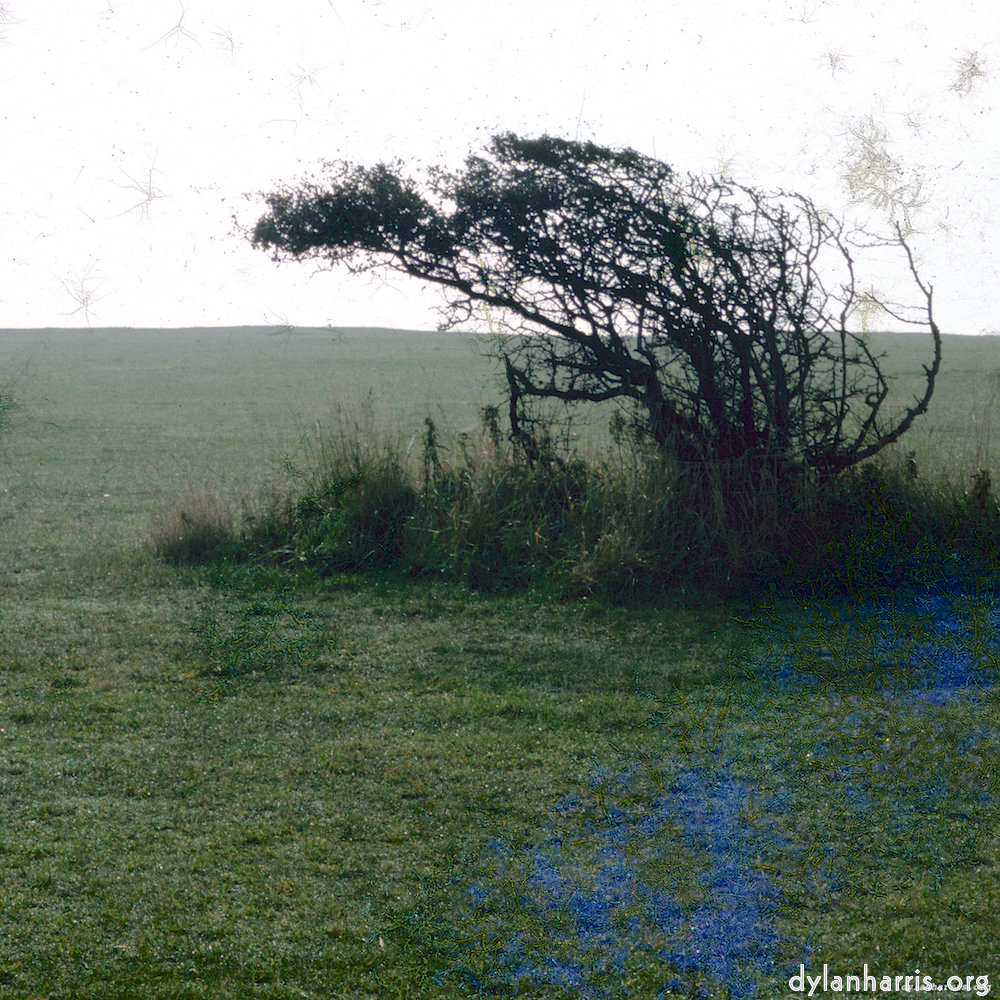 Image 'damage (cccv) 9'.