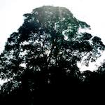 image: Image from the photoset &lsquo;damage (cccv)&rsquo;.