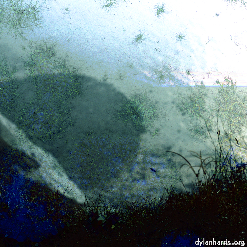 Image 'damage (cccvii) 8'.