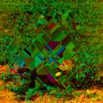 image: Image from the photoset &lsquo;damage (cccix)&rsquo;.