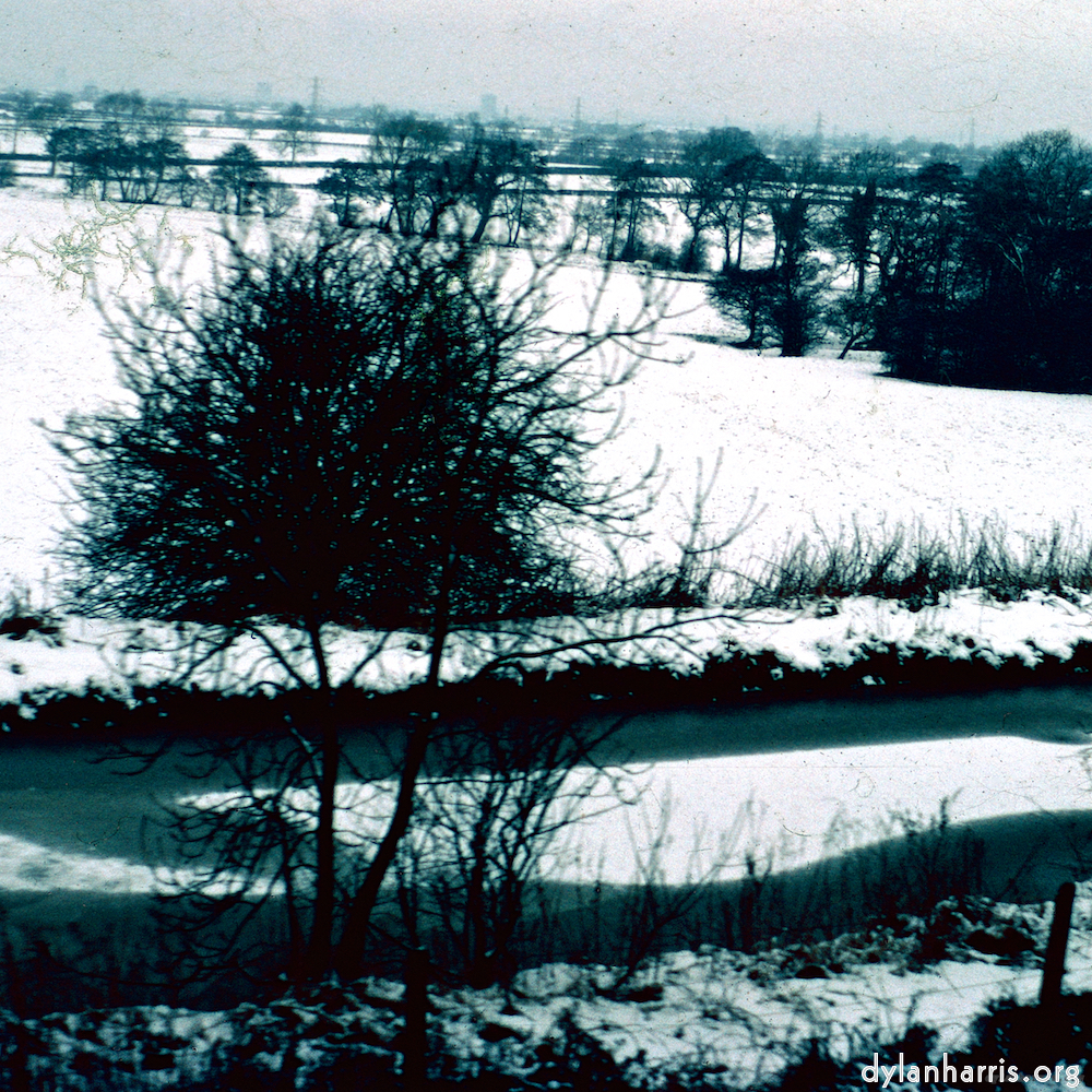 image: This is &lsquo;damage (cccxv) 1&rsquo;.