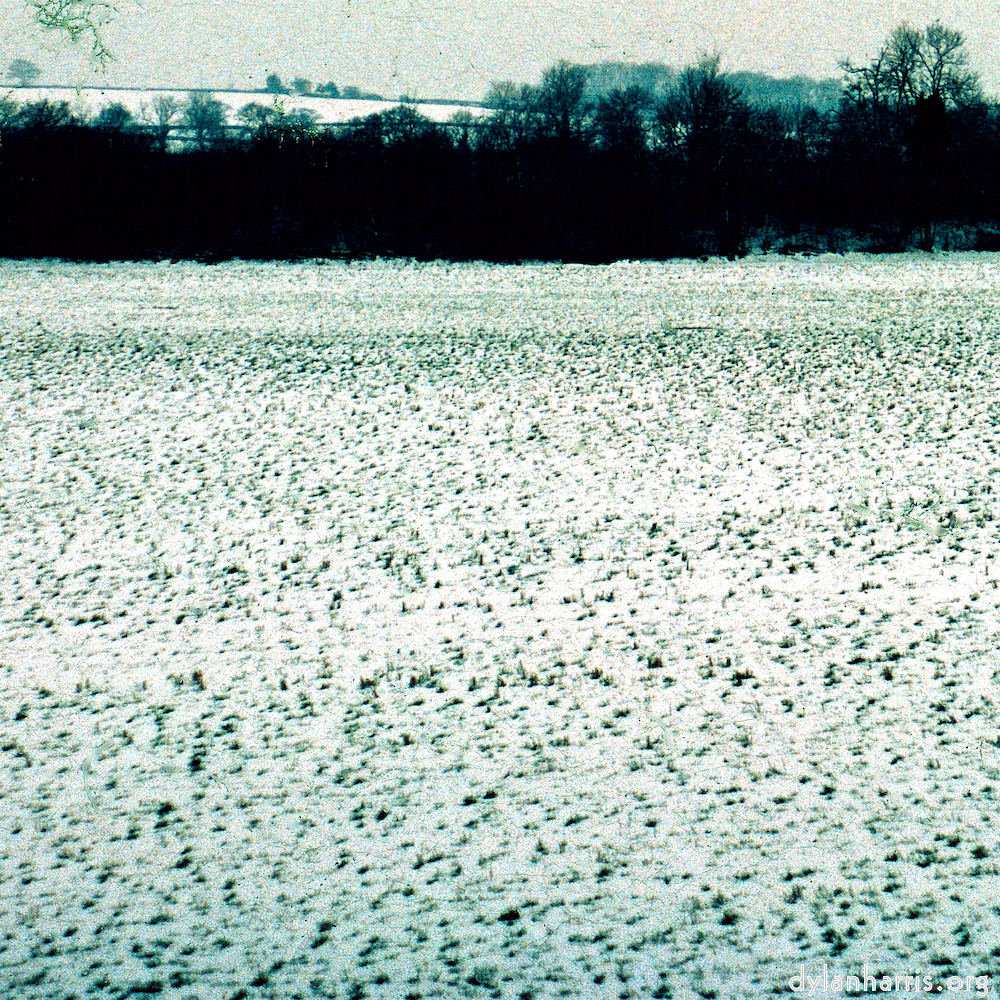 image: This is &lsquo;damage (cccxv) 5&rsquo;.