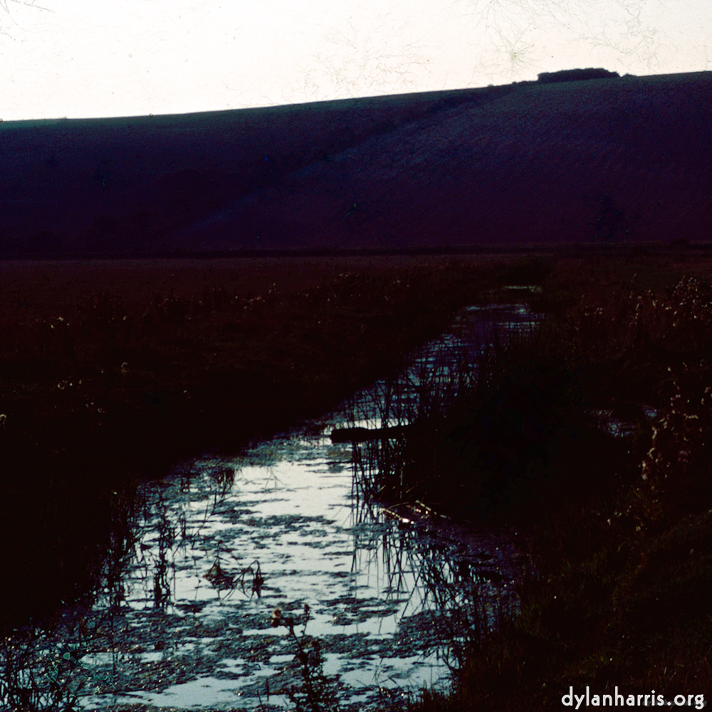 image: This is &lsquo;damage (cccxvi) 2&rsquo;.