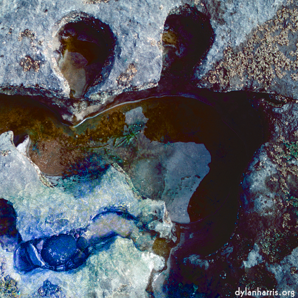 image: This is &lsquo;damage (cccxvii) 1&rsquo;.