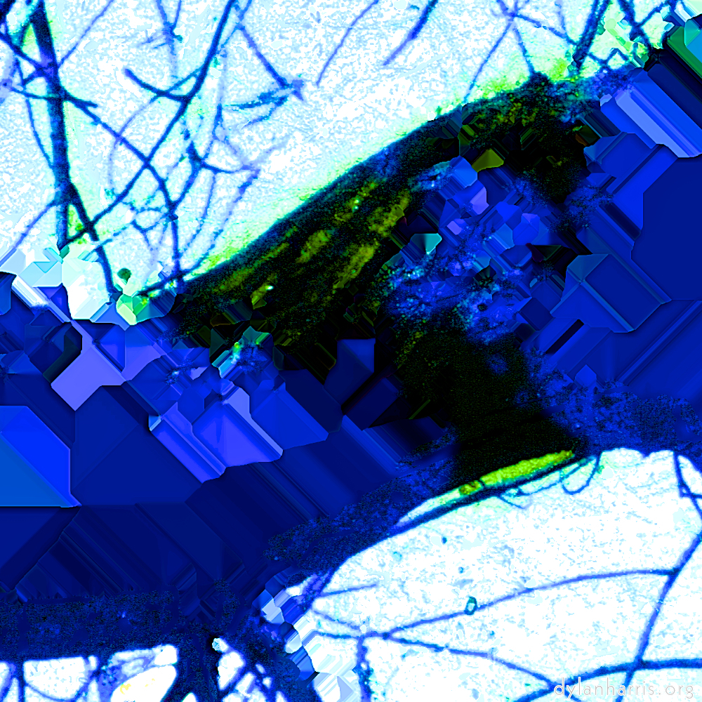 image: This is &lsquo;damage (ccxli) 1&rsquo;.