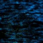 image: Image from the photoset &lsquo;damage (ccxlii)&rsquo;.