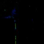 image: Image from the photoset &lsquo;damage (ccxlii)&rsquo;.