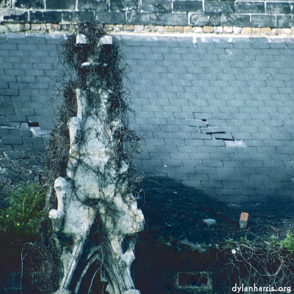 image: D&euml;st ass &lsquo;damage (ccxlvii) 3&rsquo;.