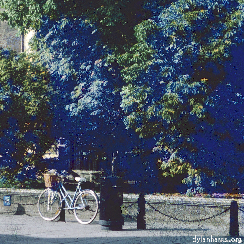 image: This is &lsquo;damage (ccxlvii) 6&rsquo;.