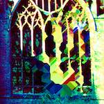 image: Image from the photoset &lsquo;damage (ccxlviii)&rsquo;.