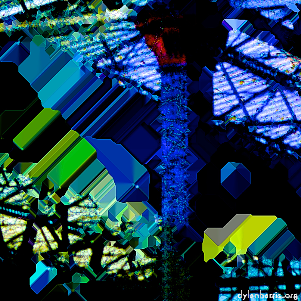 image: This is &lsquo;damage (ccl) 1&rsquo;.