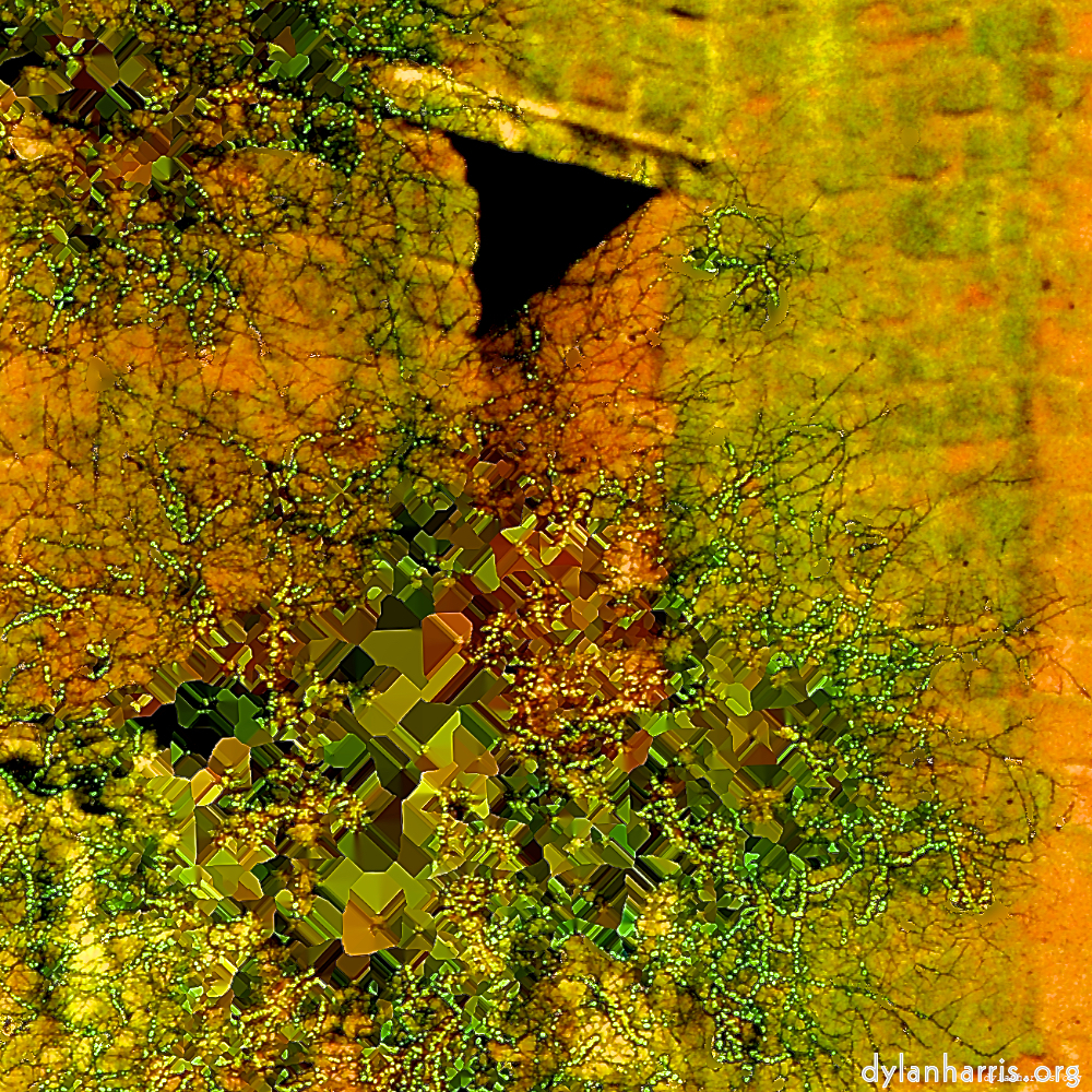 image: D&euml;st ass &lsquo;damage (ccli) 9&rsquo;.