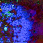 image: Image vum photoset <<damage (ccli)>>.