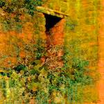 image: Image vum photoset <<damage (ccli)>>.