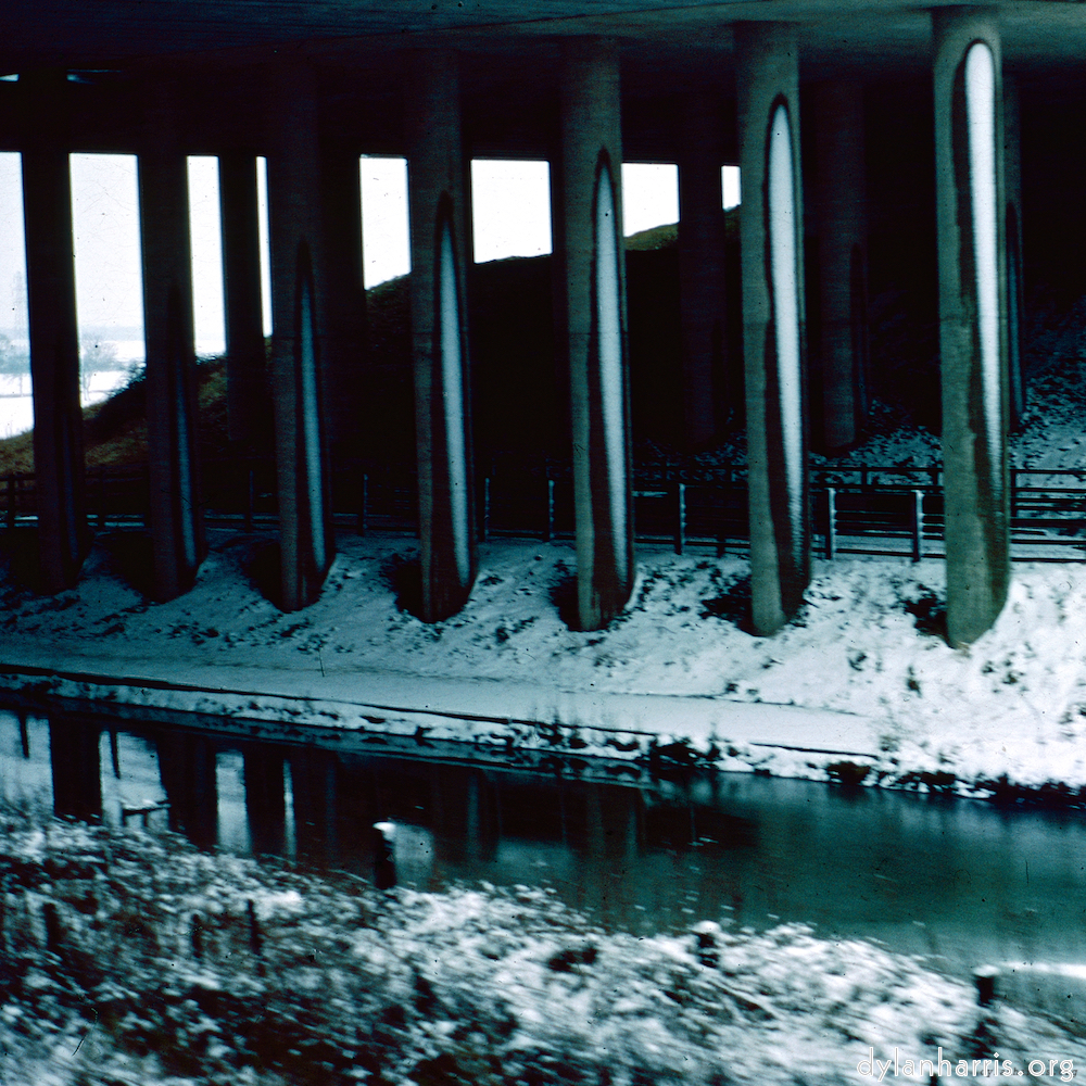 image: This is &lsquo;damage (cclvi) 3&rsquo;.