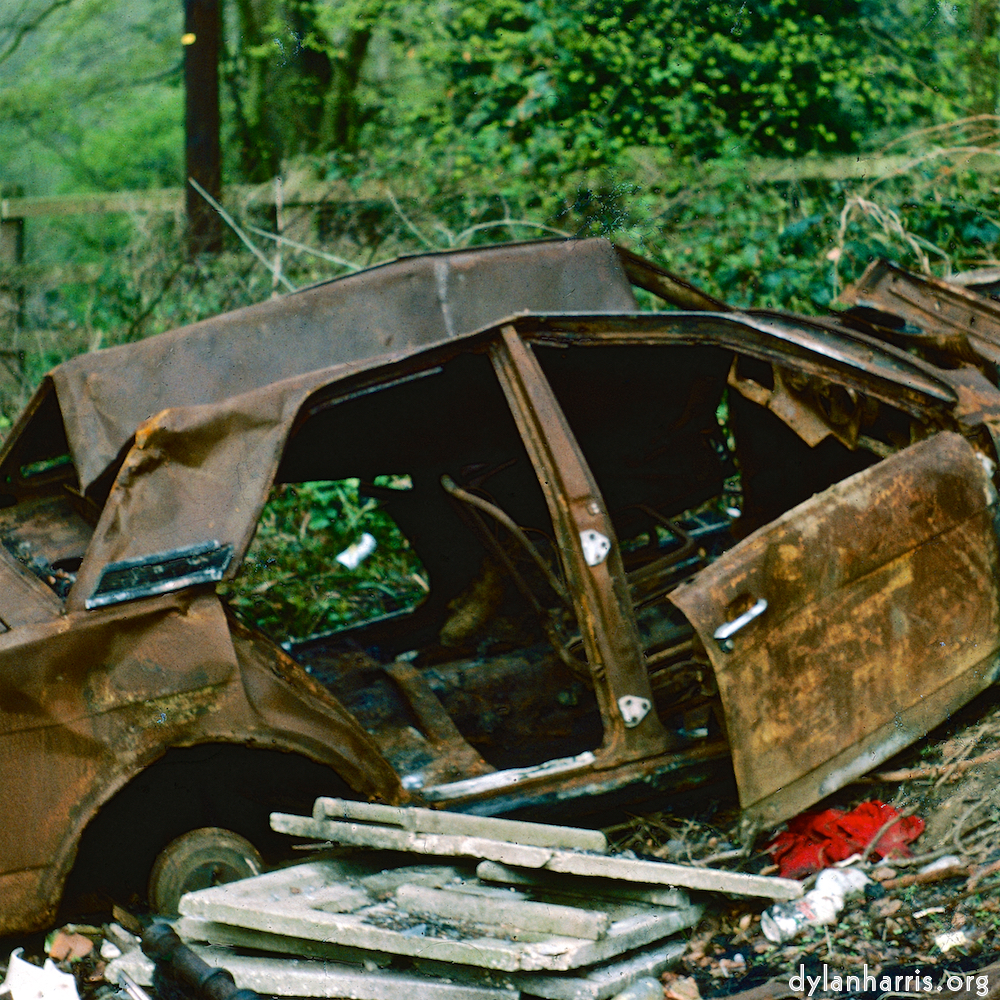 image: This is &lsquo;damage (cclvi) 6&rsquo;.