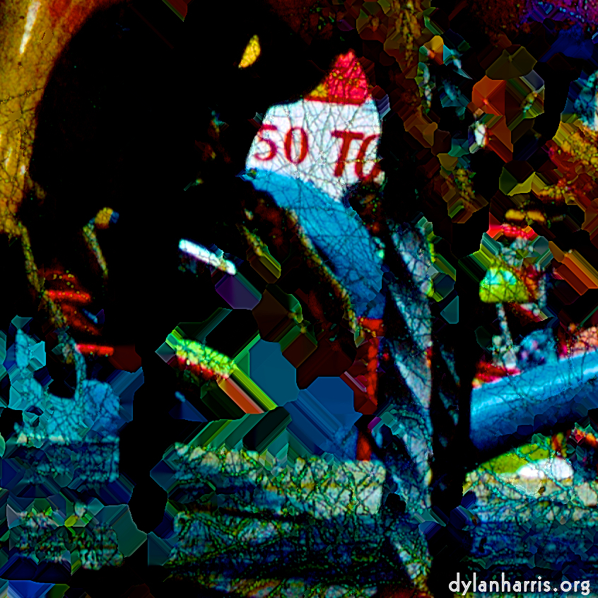 image: This is &lsquo;damage (cclvii) 5&rsquo;.