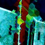 image: Image from the photoset &lsquo;damage (cclvii)&rsquo;.