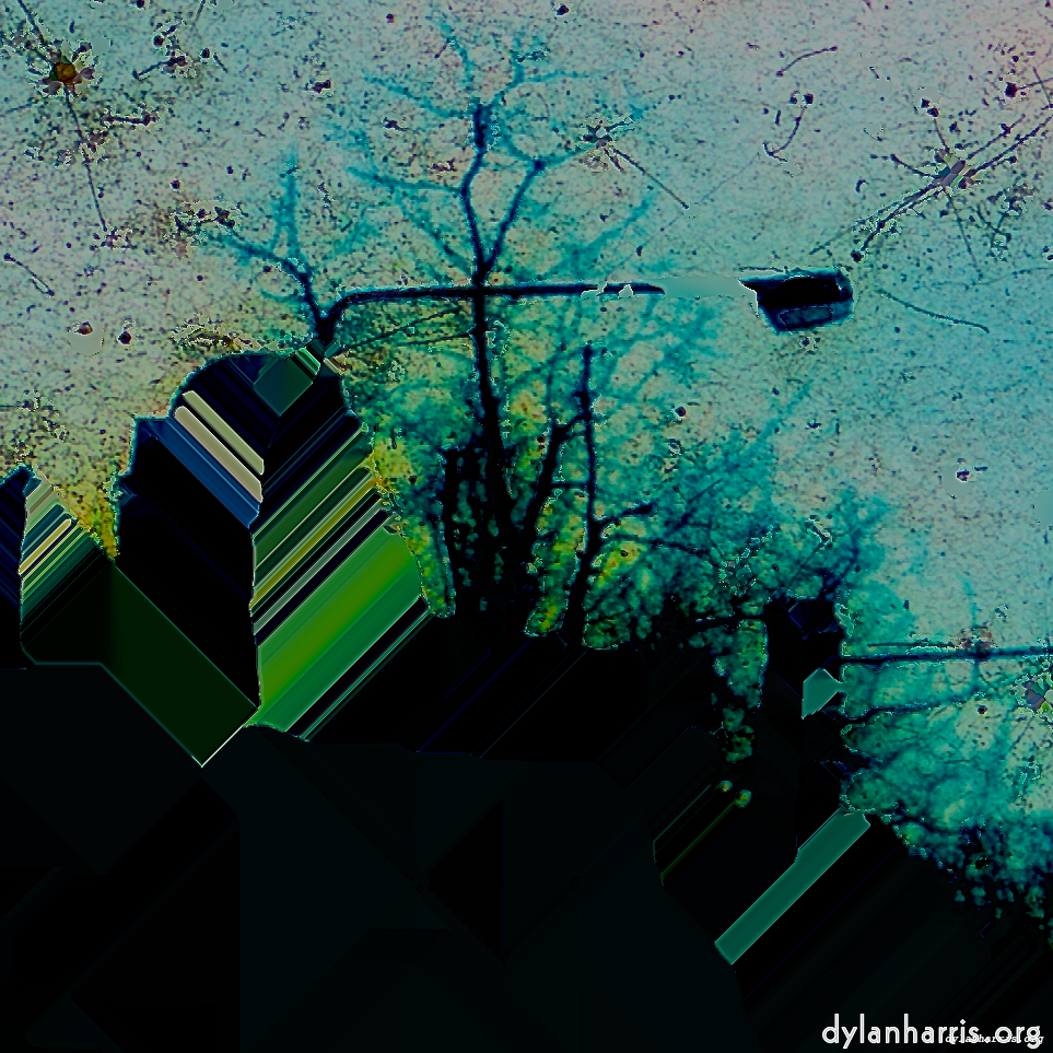 image: This is &lsquo;damage (ccxxix) 6&rsquo;.