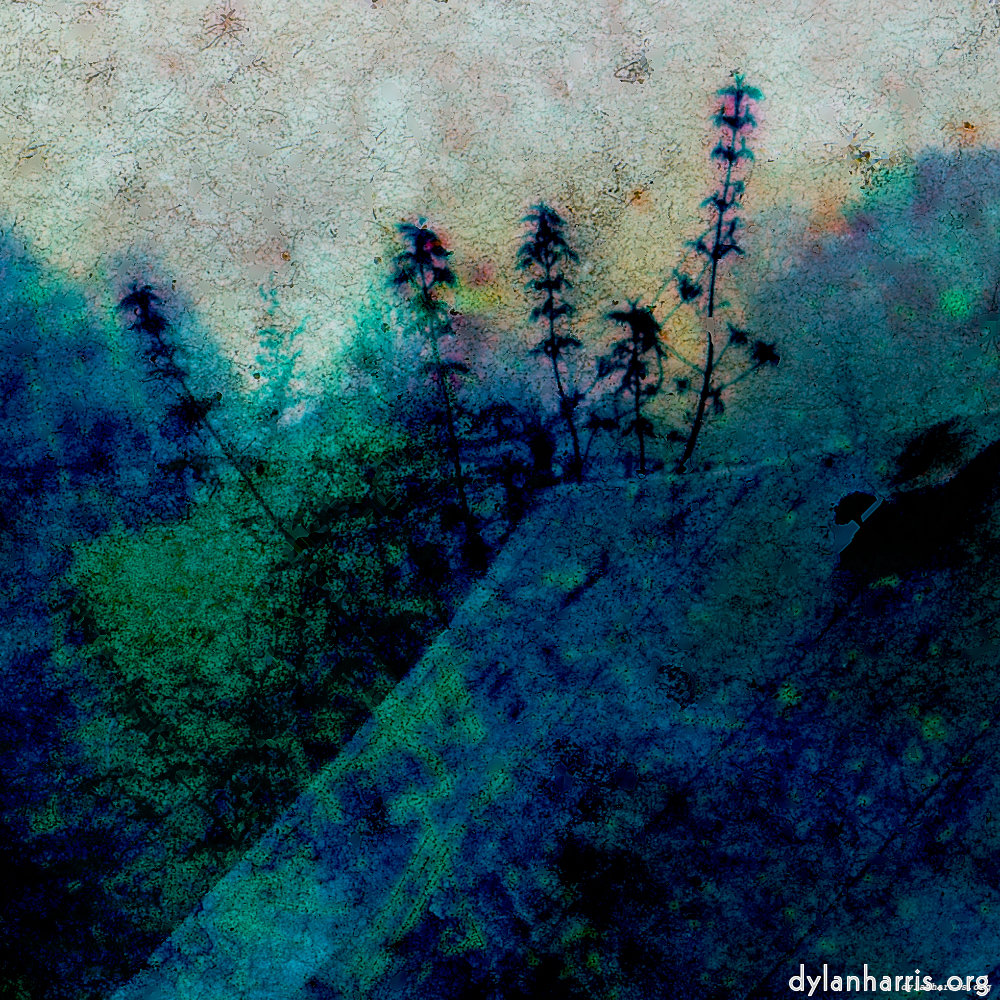 image: This is &lsquo;damage (ccxxxi) 2&rsquo;.