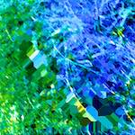 image: Image from the photoset &lsquo;damage (ccxciv)&rsquo;.