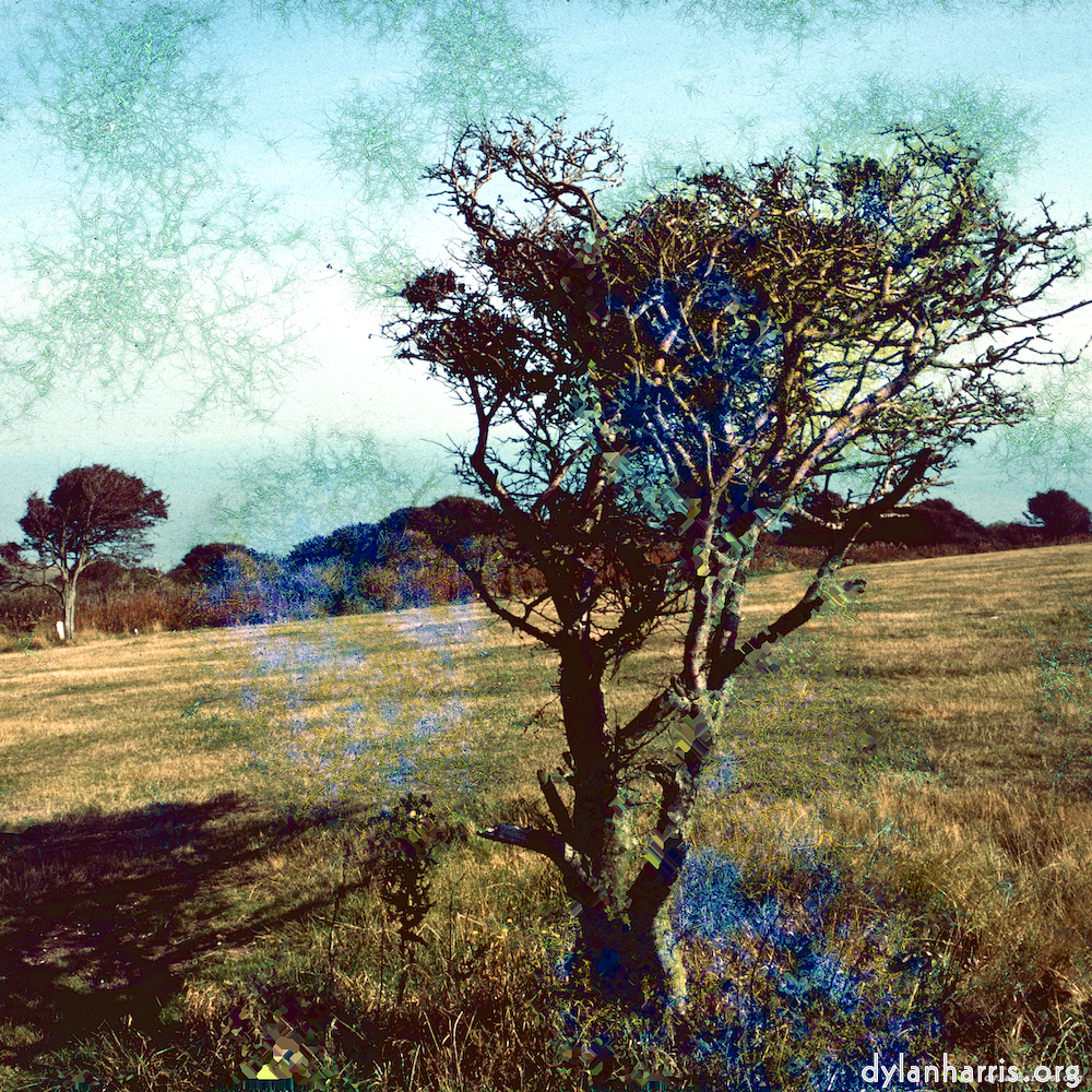 image: This is &lsquo;damage (ccxcvi) 6&rsquo;.