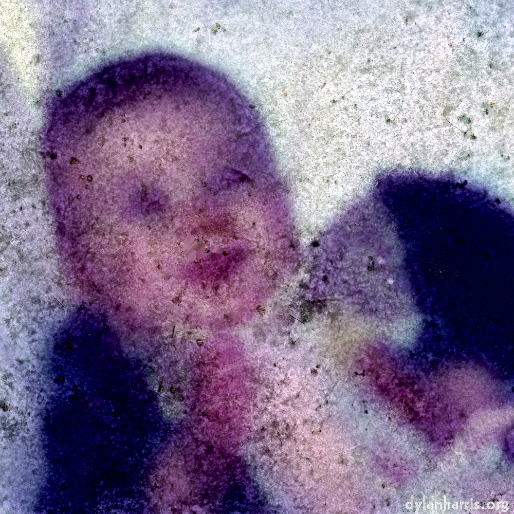 image: D&euml;st ass &lsquo;damage (xvi) 1&rsquo;.