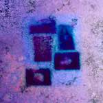 image: Image from the photoset &lsquo;damage (xvii)&rsquo;.