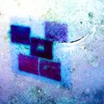 Fourth image from the photoset 'damage (xviii)'.