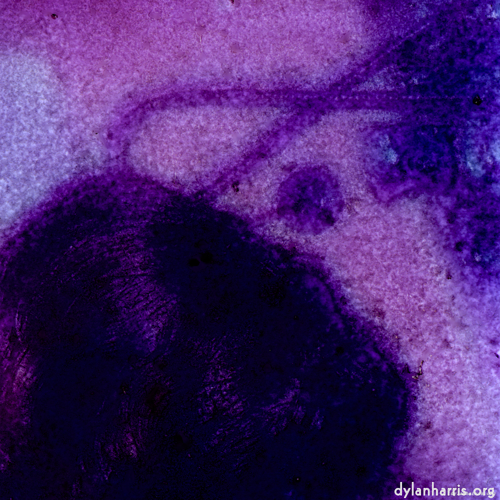image: This is &lsquo;damage (v) 7&rsquo;.