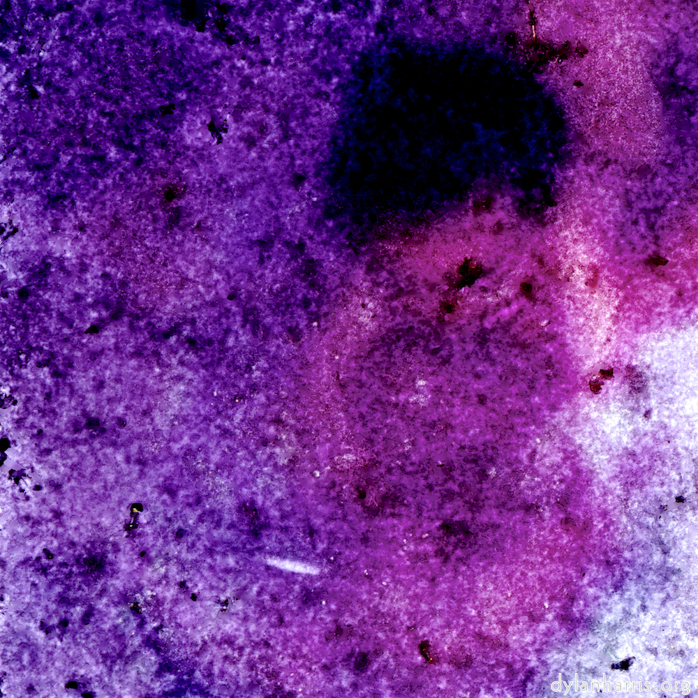 image: This is &lsquo;damage (v) 8&rsquo;.