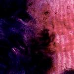 image: Image from the photoset &lsquo;damage (v)&rsquo;.