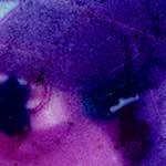 image: Image from the photoset &lsquo;damage (v)&rsquo;.
