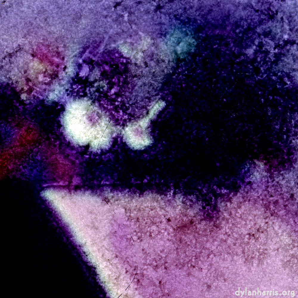 image: This is &lsquo;damage (vi) 1&rsquo;.